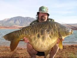 Interesant II :P - imagebs.jpeg